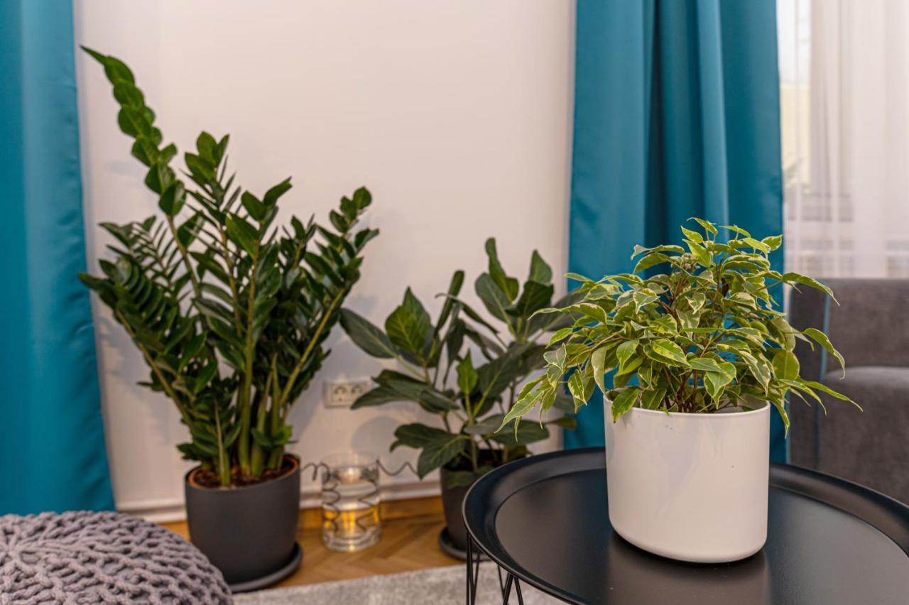 Garden Hideout - Central Apartment Braşov Dış mekan fotoğraf